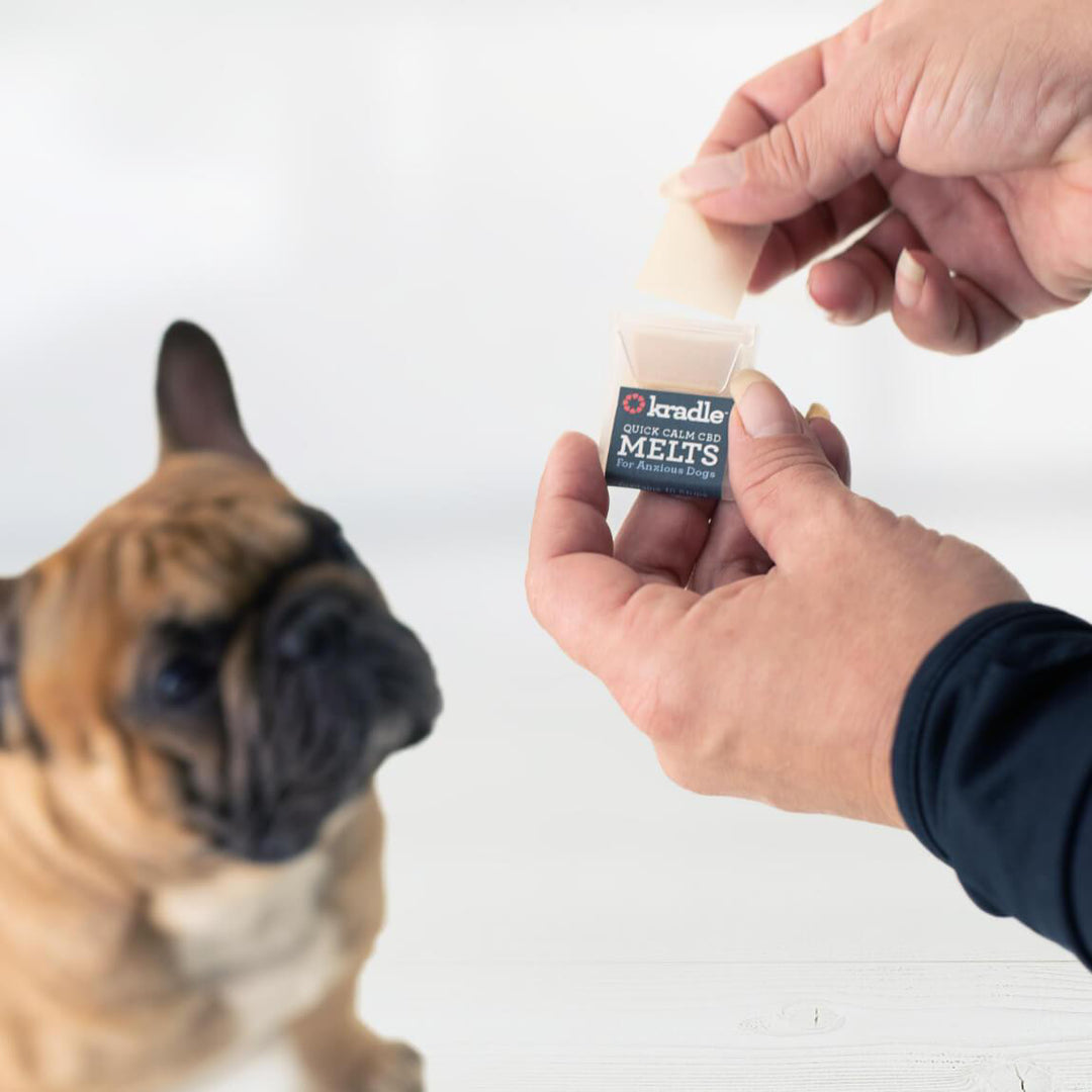 Kradle Quick Calm CBD Melts for Large Dogs 30 mg, 10 count