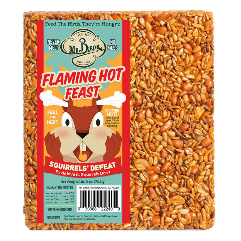 Mr. Bird Flaming Hot Feast Cake, Large