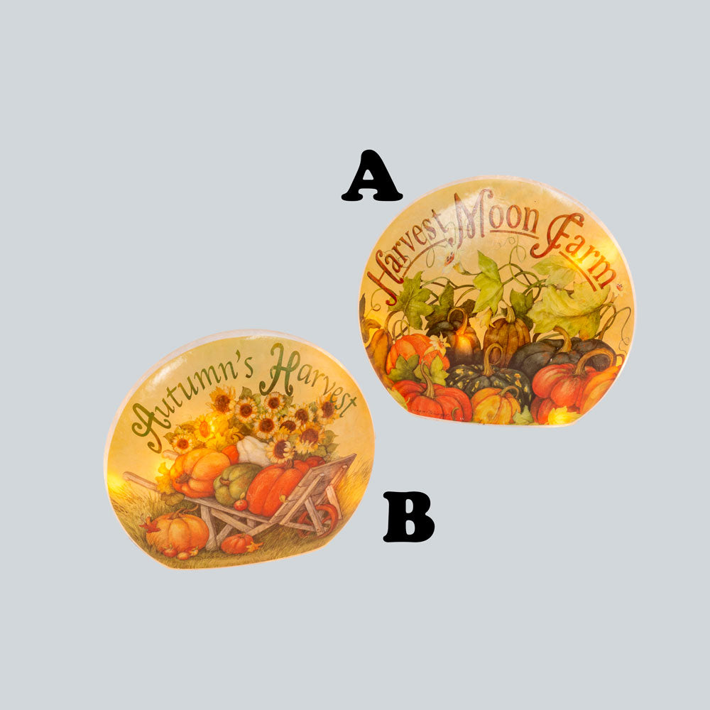 Gerson Company, Electric Lighted Frosted Glass Harvest Luminary Assorted, Glass, 9.1"H