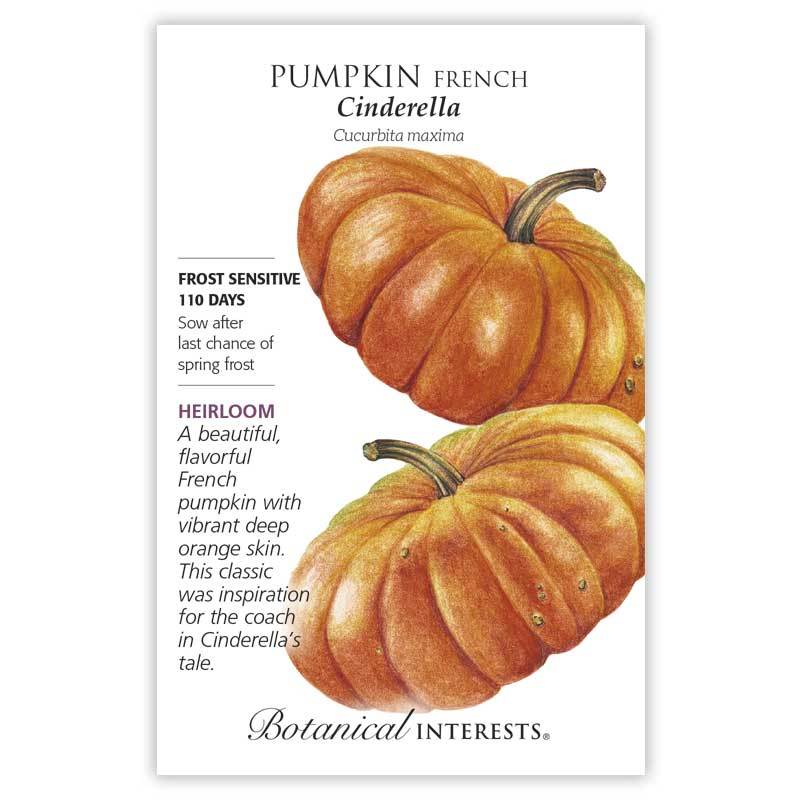 Pumpkin, Cinderella Botanical Interests Seeds (Heirloom)