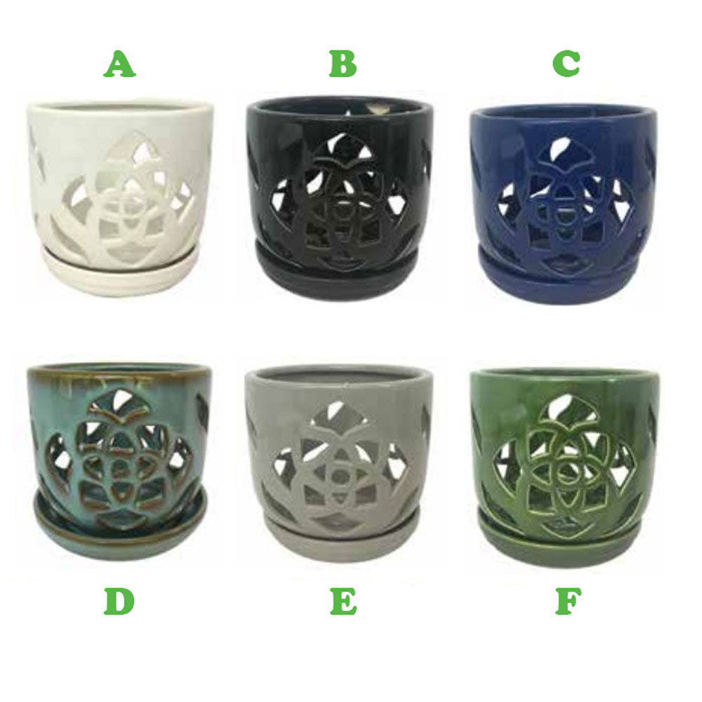 Border Concepts, 5.25" Orchid Pot w/ Saucer, Assorted and Sold Separately