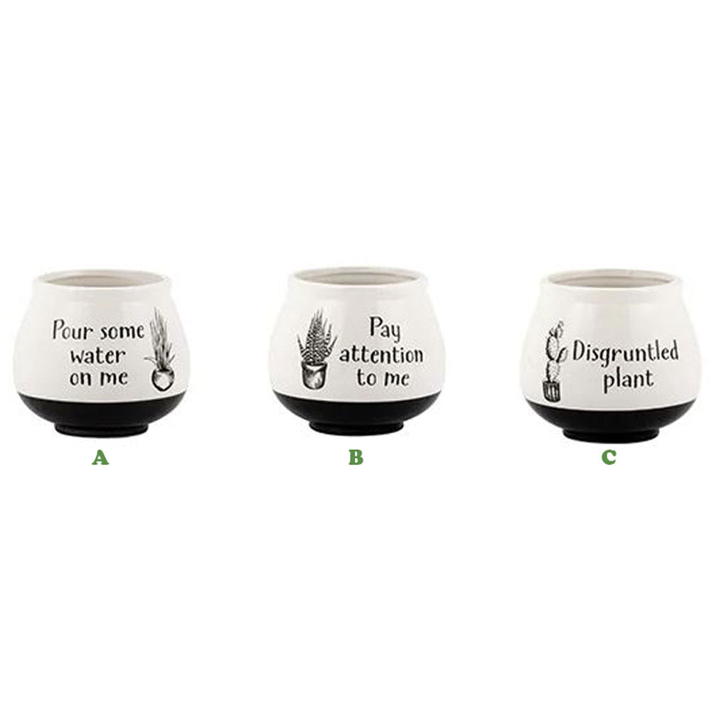 Napco, Punny Pot, Assorted & Sold Separately