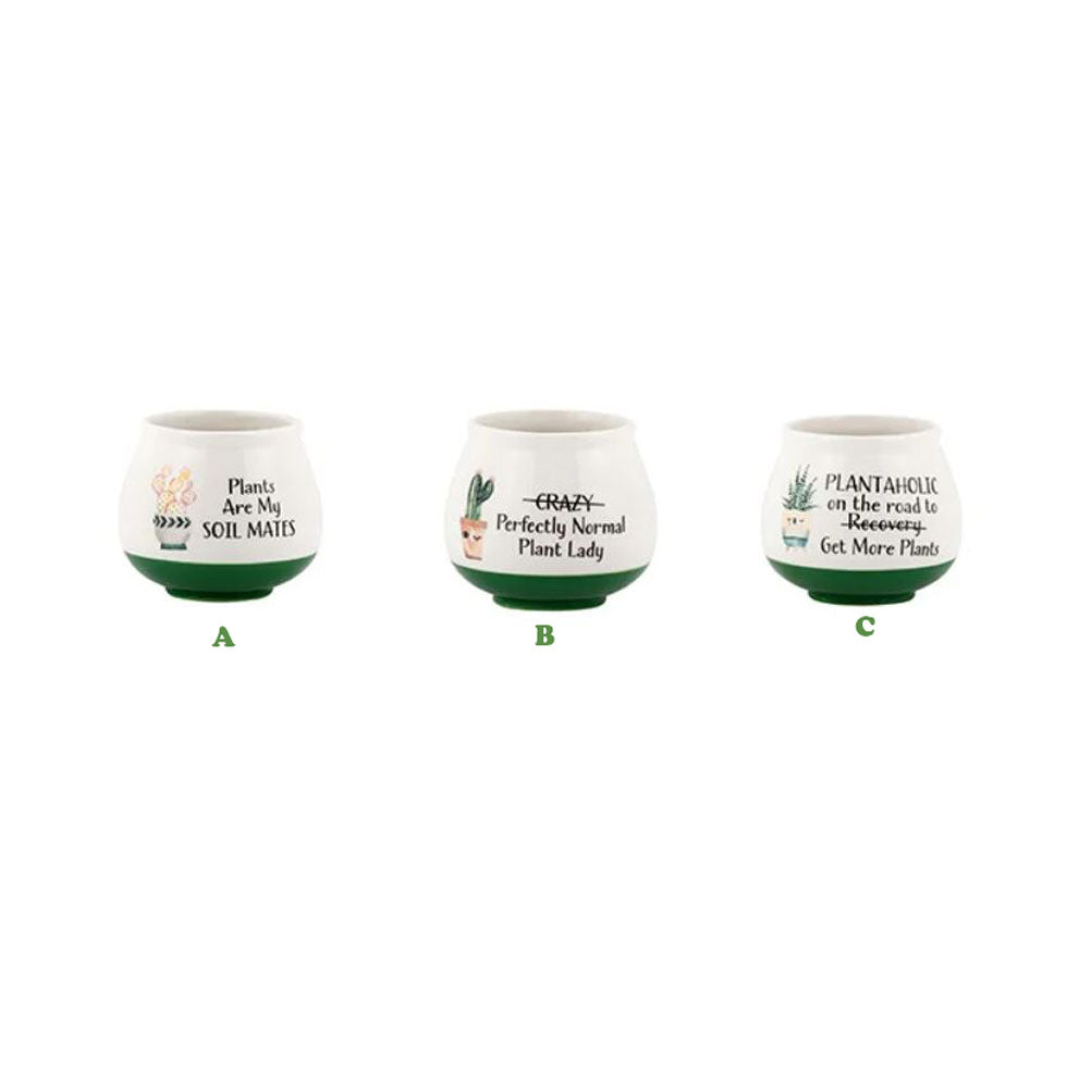 Napco, Punny Pot, Assorted & Sold Separately