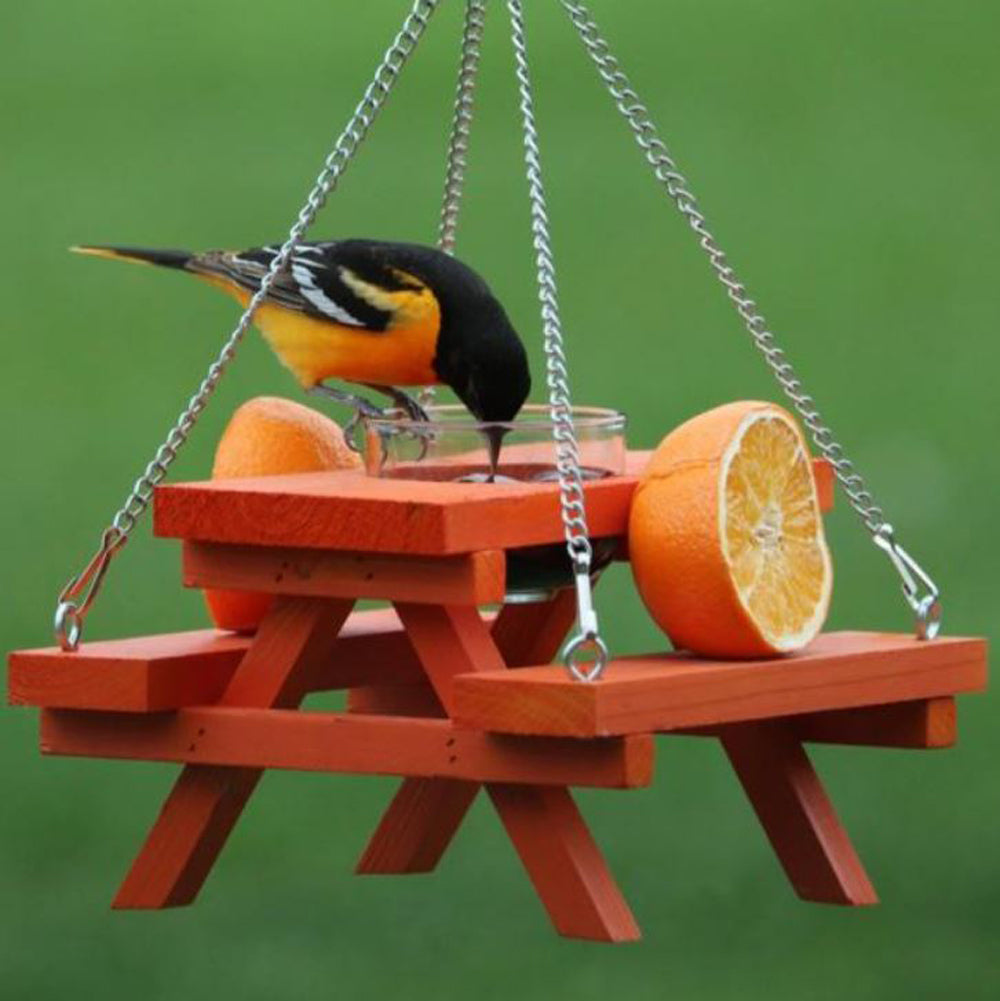 Songbird Essentials, Oriole picnic Table Feeder