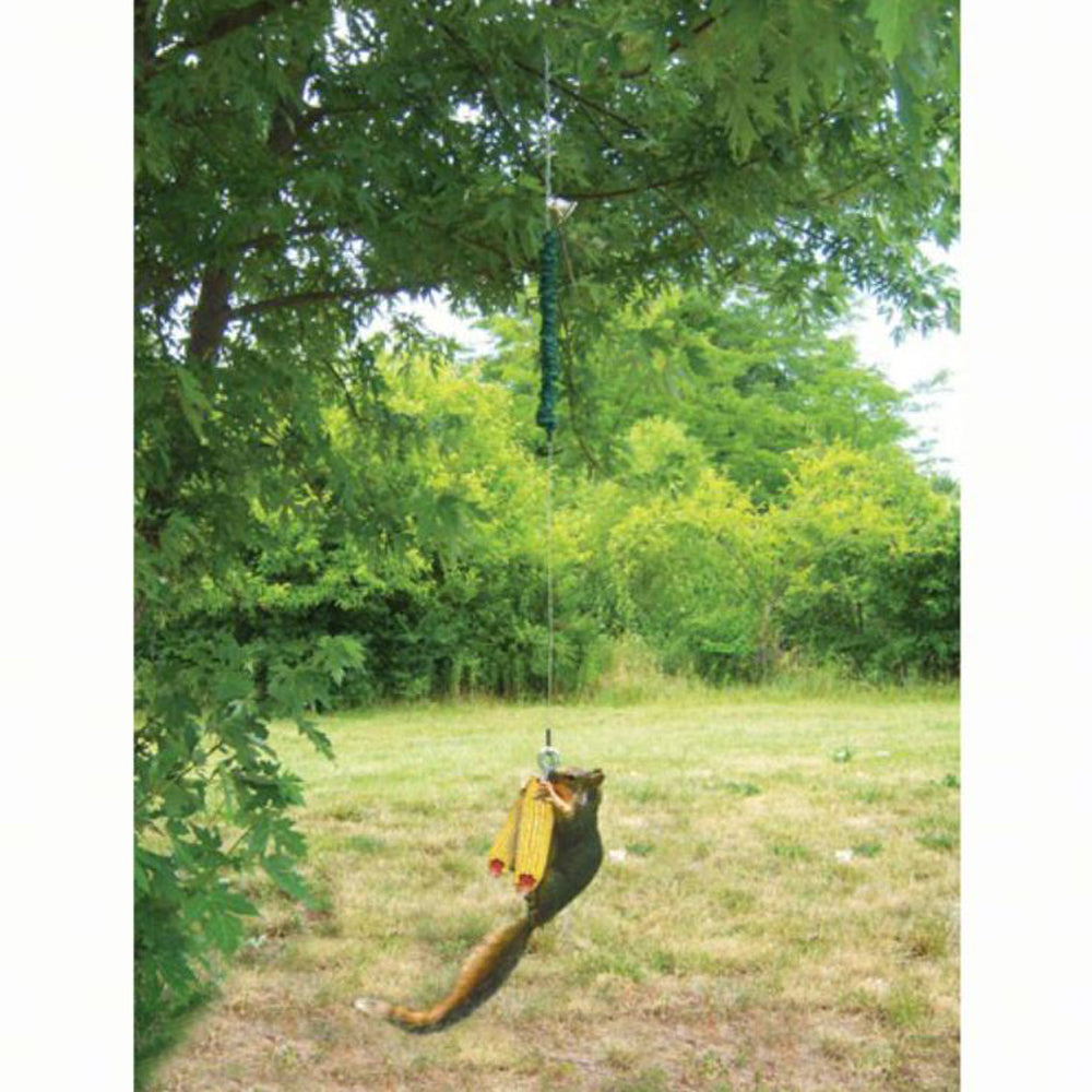Songbird Essentials, Squirrel Bungee Feeder