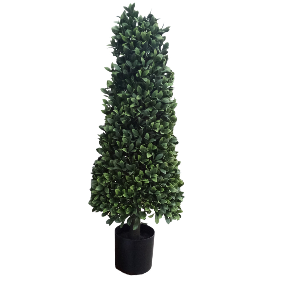 Direct Export, Winter Boxwood Cone Topiary, 30"