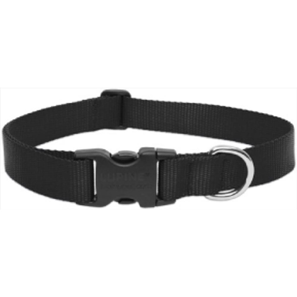 Lupine, Black Adjustable Collar, 1"x12"-20"