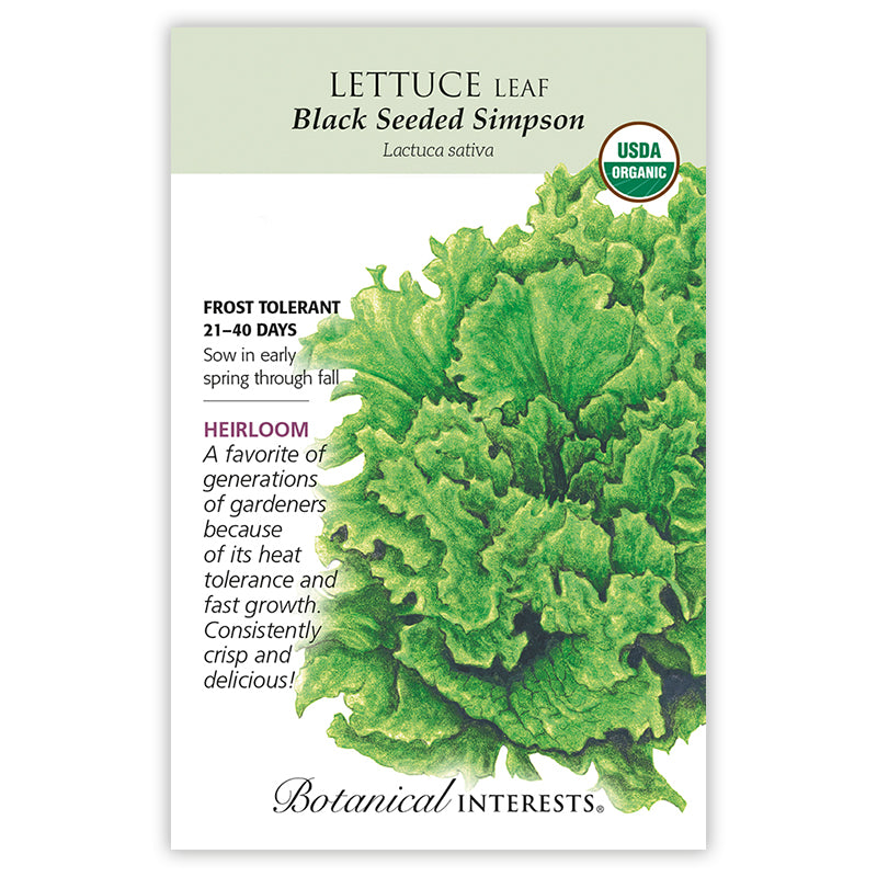 Lettuce, Botanical Interests Black Seeded Simpson Leaf Seeds Organic, (Heirloom)
