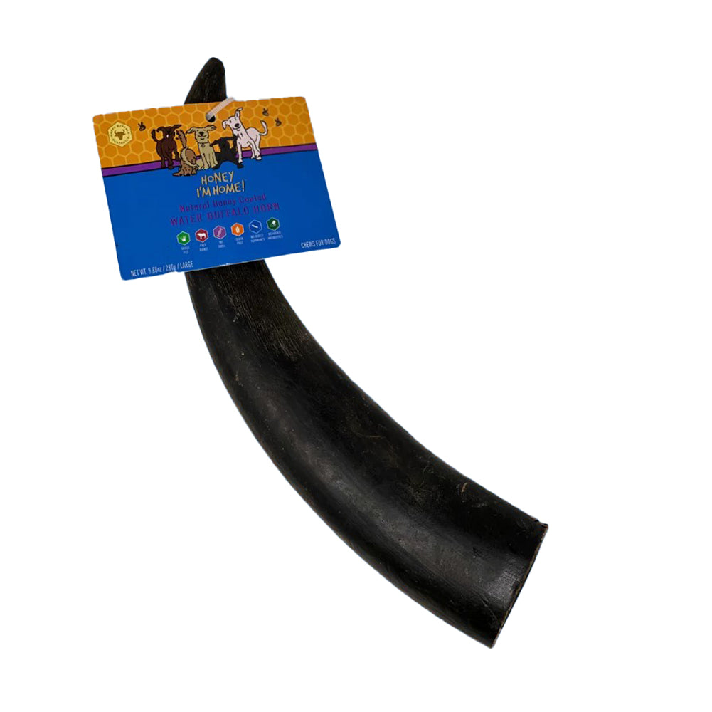 Honey I'm Home, Water Buffalo, Large Horn