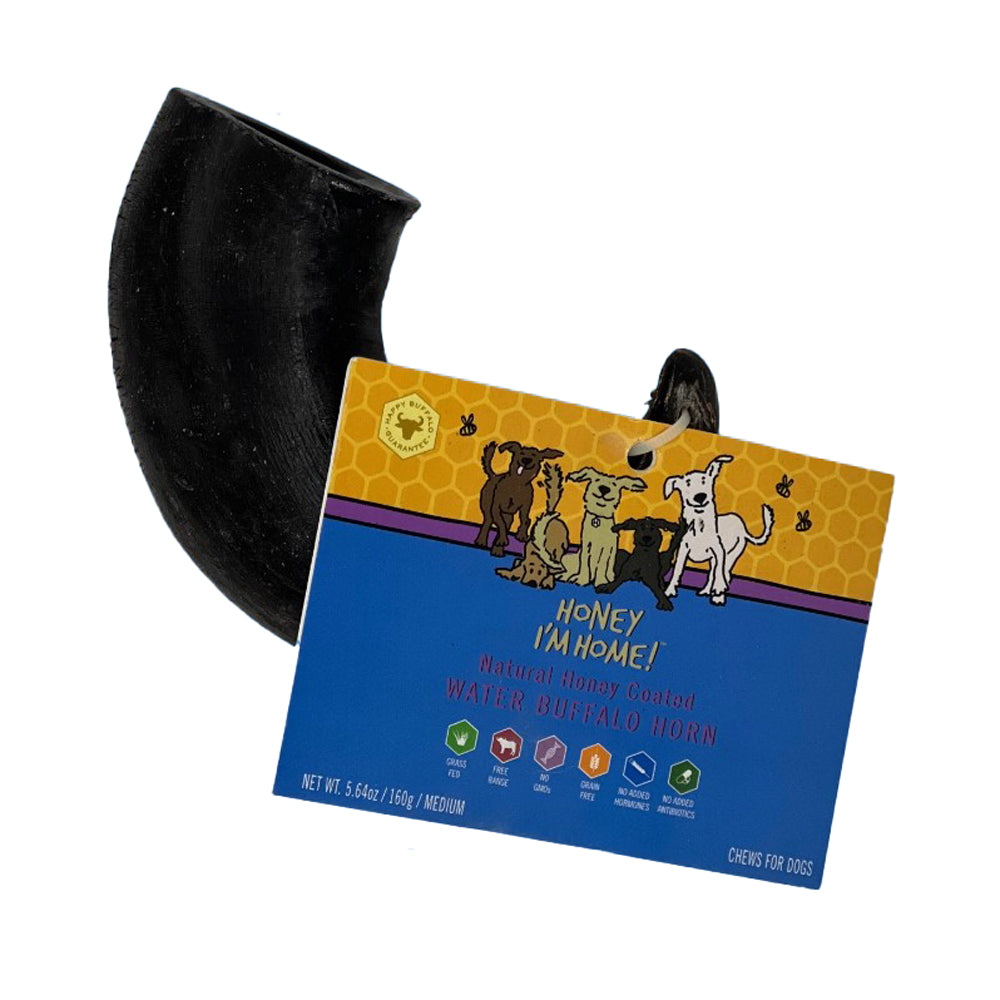 Honey I'm Home, Water Buffalo, Medium Horn