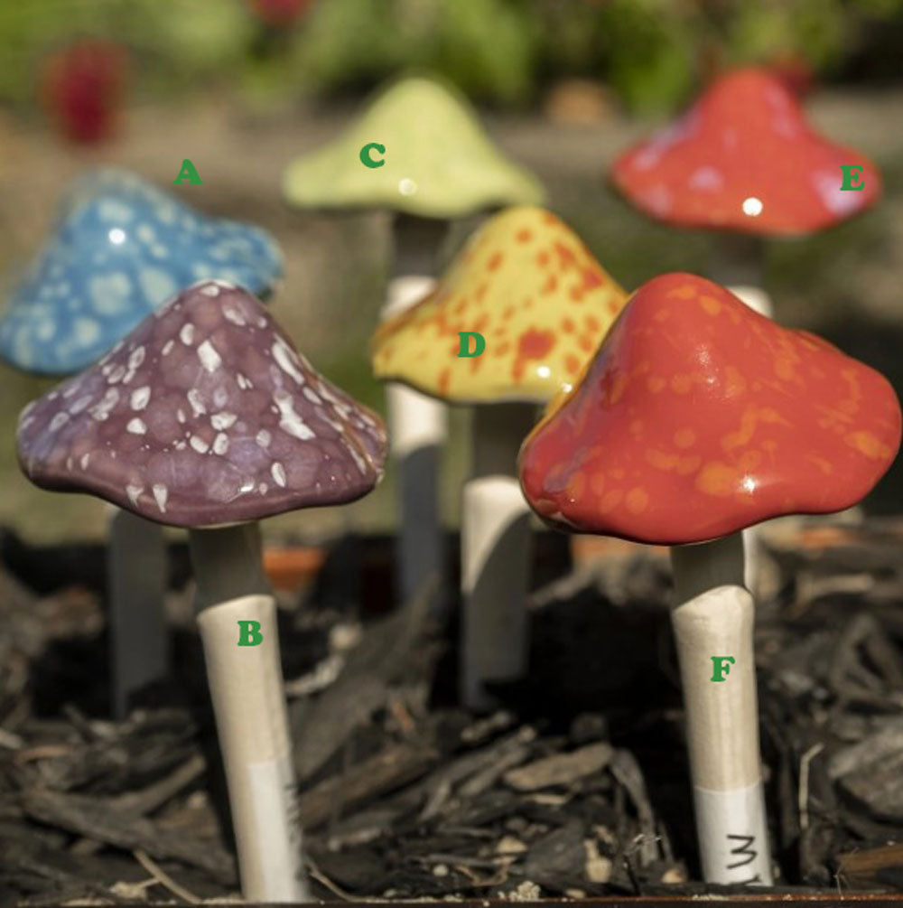 Marshall, Bright Mushroom Small, 5 Assorted and Sold Individually