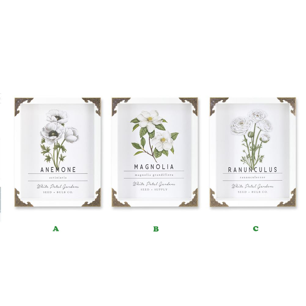 Melrose, Floral Wall Boxes, Assorted and Sold Separately