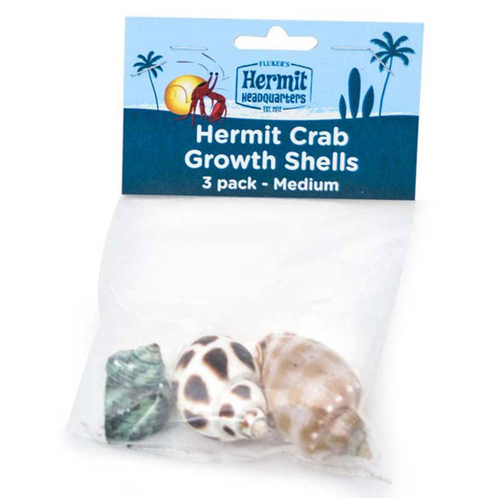Flaker, Hermit Crab Shell, Medium, 3 Pack
