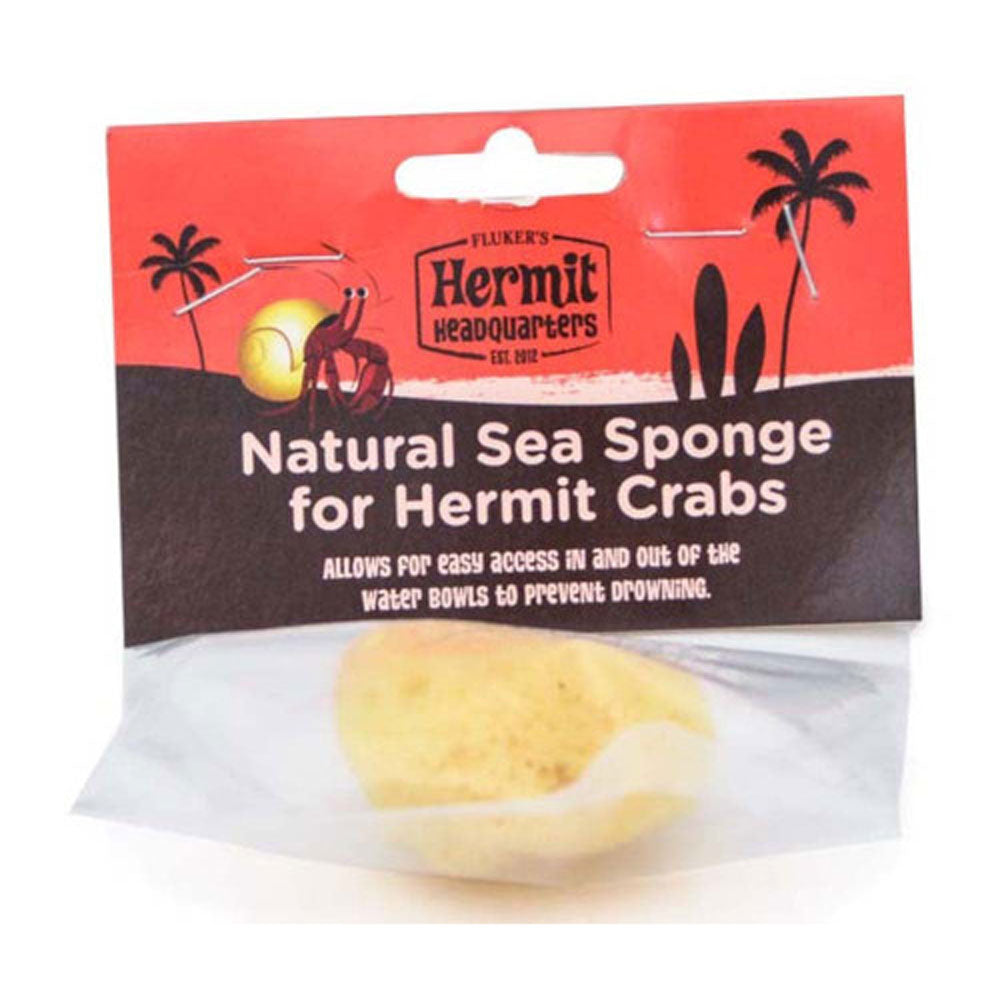 Flaker, Hermit Crab Sea Sponge