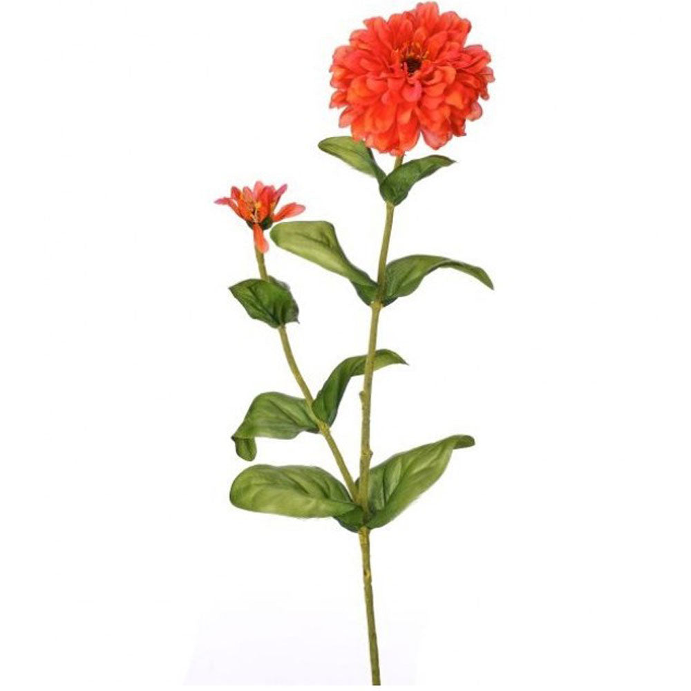 Regency, Garden Zinnia + Bud Stem, Orange, 30"