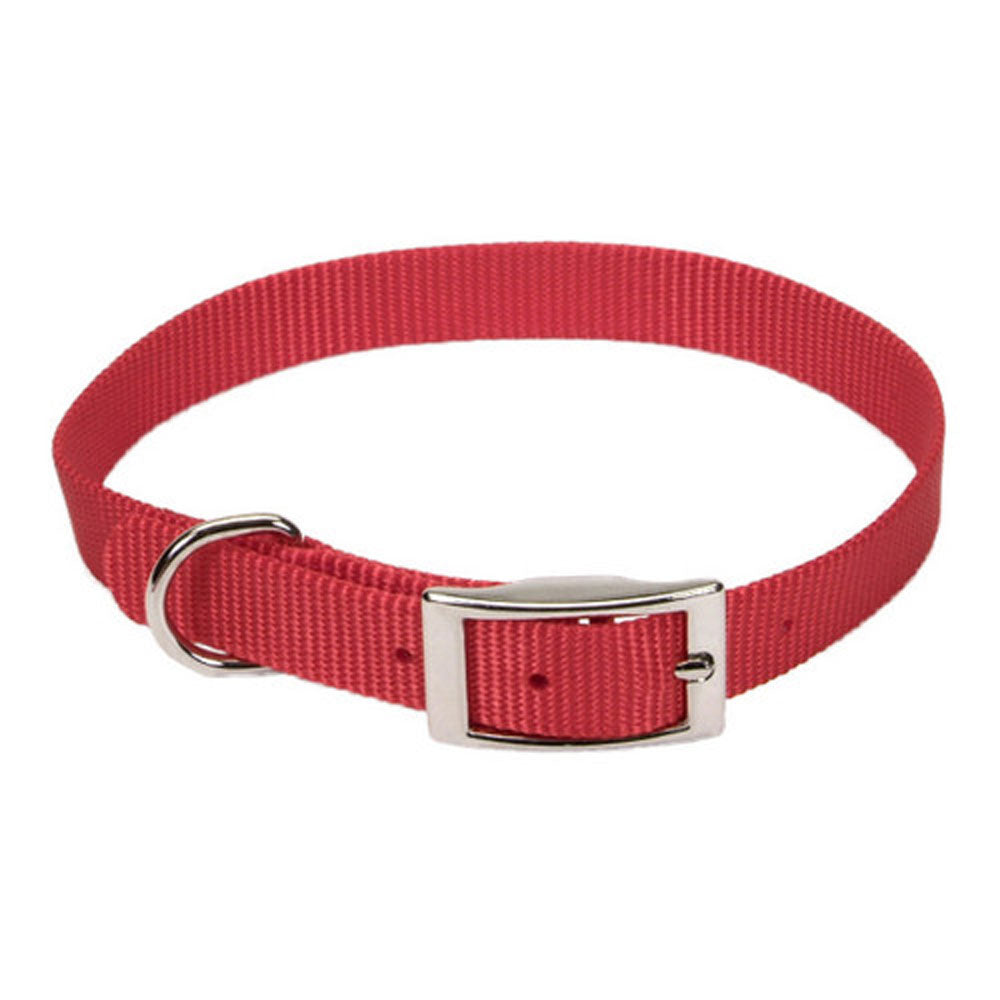 Coastal pet, Red Collar, 5/8"x12"