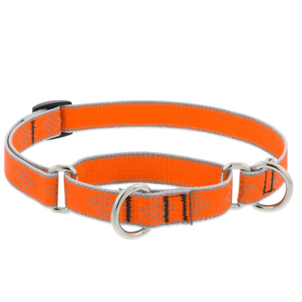 Lupine Pet, High Light 3/4" Orange Diamond Martingale