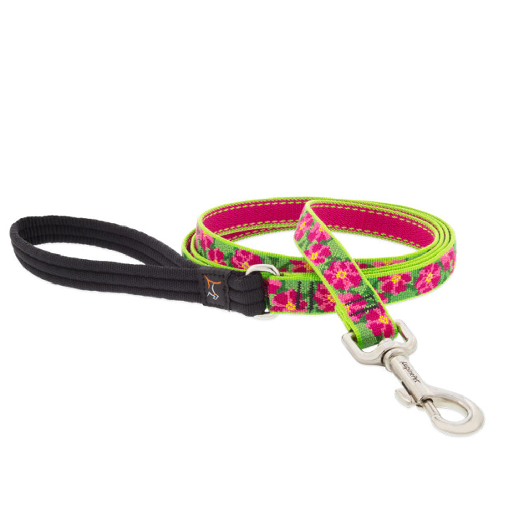 Lupine Pet, Petunias 3/4" Leash, 6'