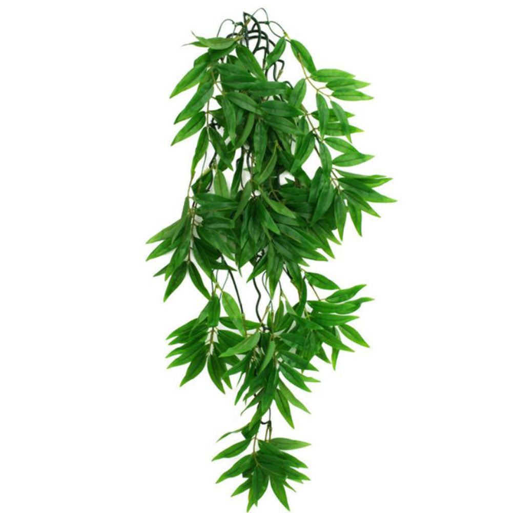 Komodo, Climbing Plant Bamboo, Large