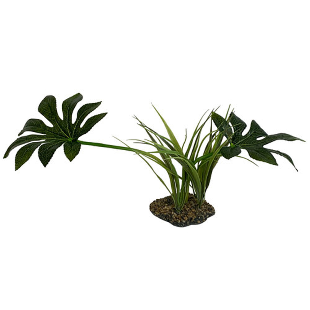 Komodo, Jungle Canopy, 42 CM