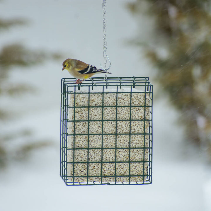 Mr. Bird, Safflower Large Cake, 31 oz.