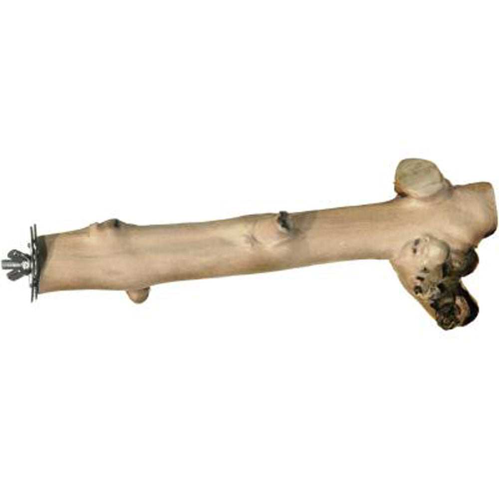 Prevue Pet, Coffea Wood Branch Bird Perch, 9"