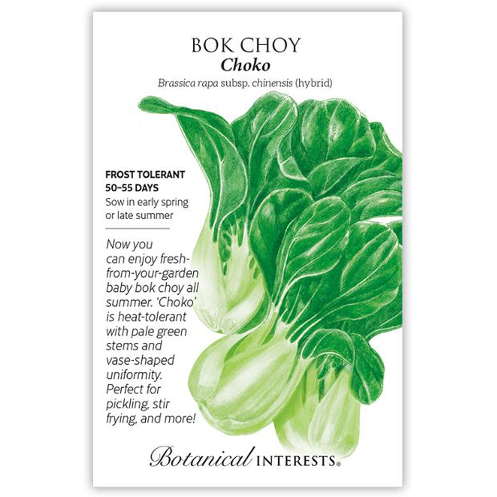 Botanical Interests, Bok Choy, Choko Hybrid