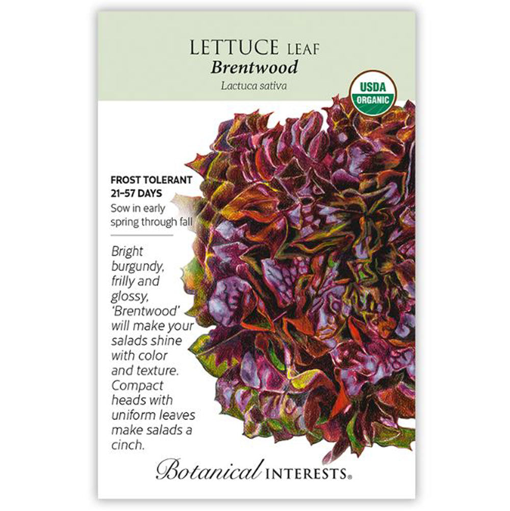 Botanical Interests, Lettuce, Eazyleaf Brentwood