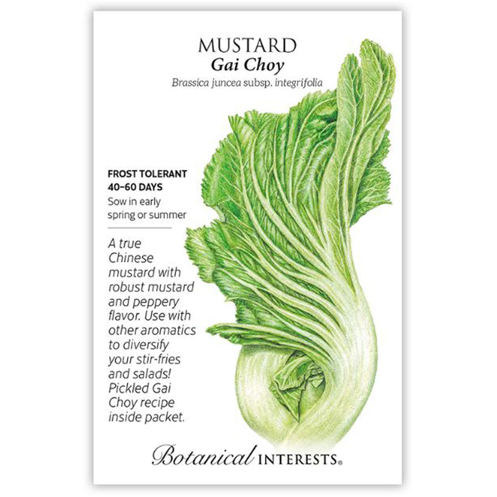 Botanical Interests, Mustard, Chinese Gai Choy