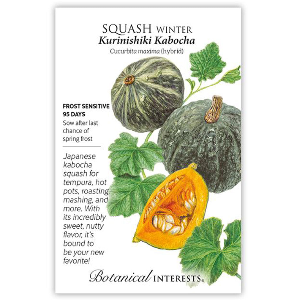 Botanical Interests, Squash, Winter Kabocha Hybrid