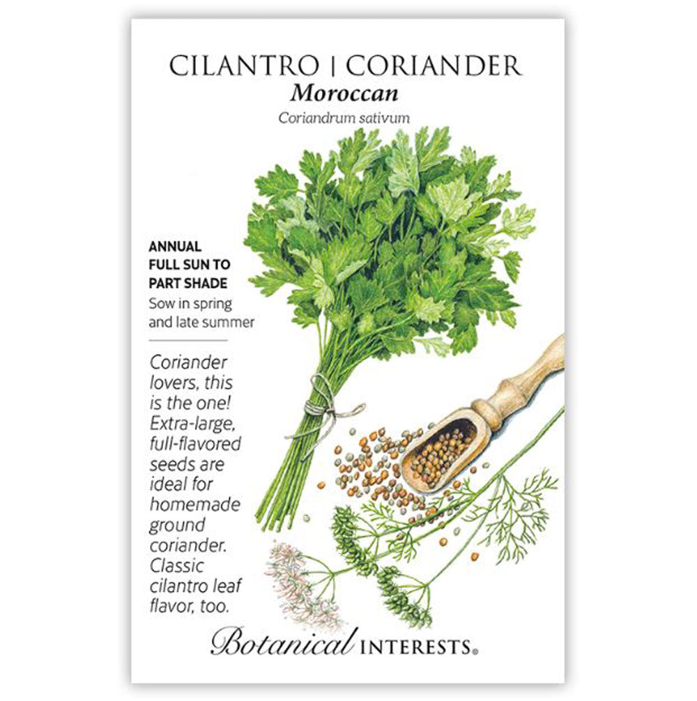 Botanical Interests, Cilantro/Coriander, Moroccan