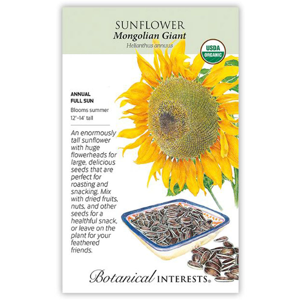 Botanical Interests, Sunflower, Mongolian Giant