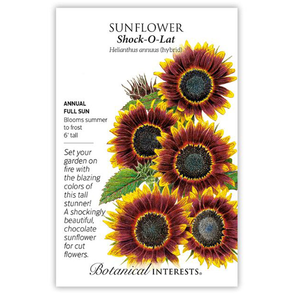 Botanical Interests, Sunflower, Shock O Lat