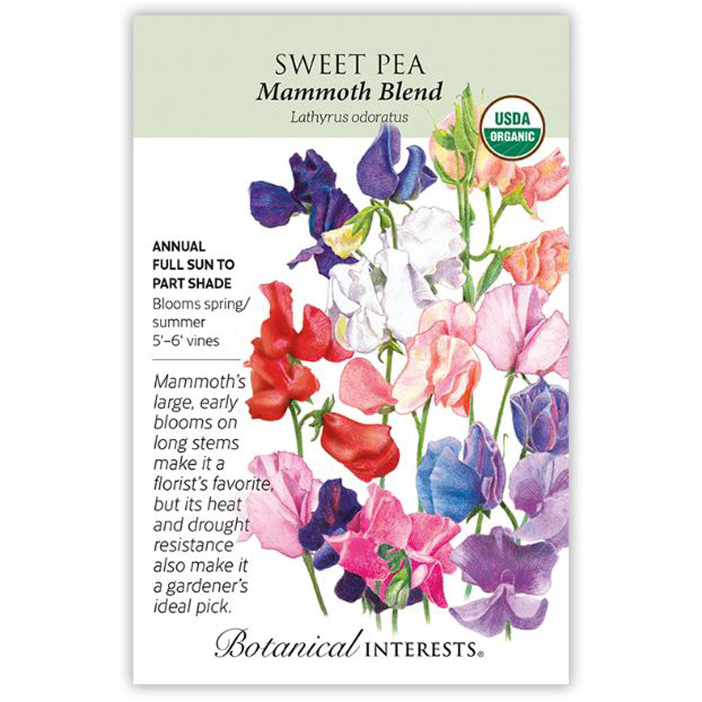 Botanical Interests, Sweet Pea, Mammoth