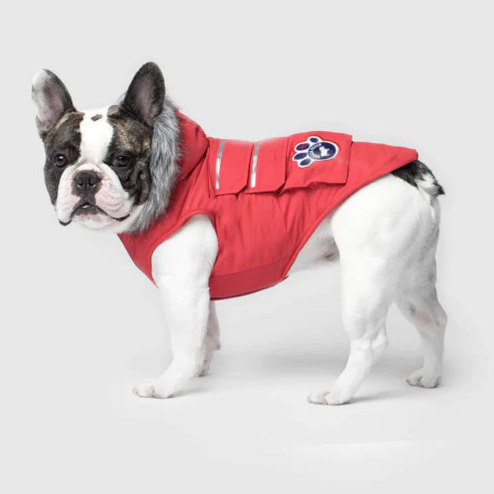 Canada Pooch, Everest Explorer Jacket, Reflective
