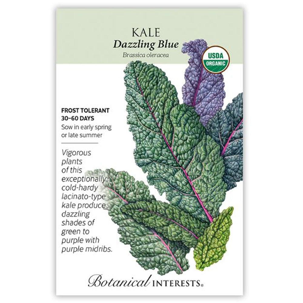 Botanical Interests, Kale, Dazzling Blue