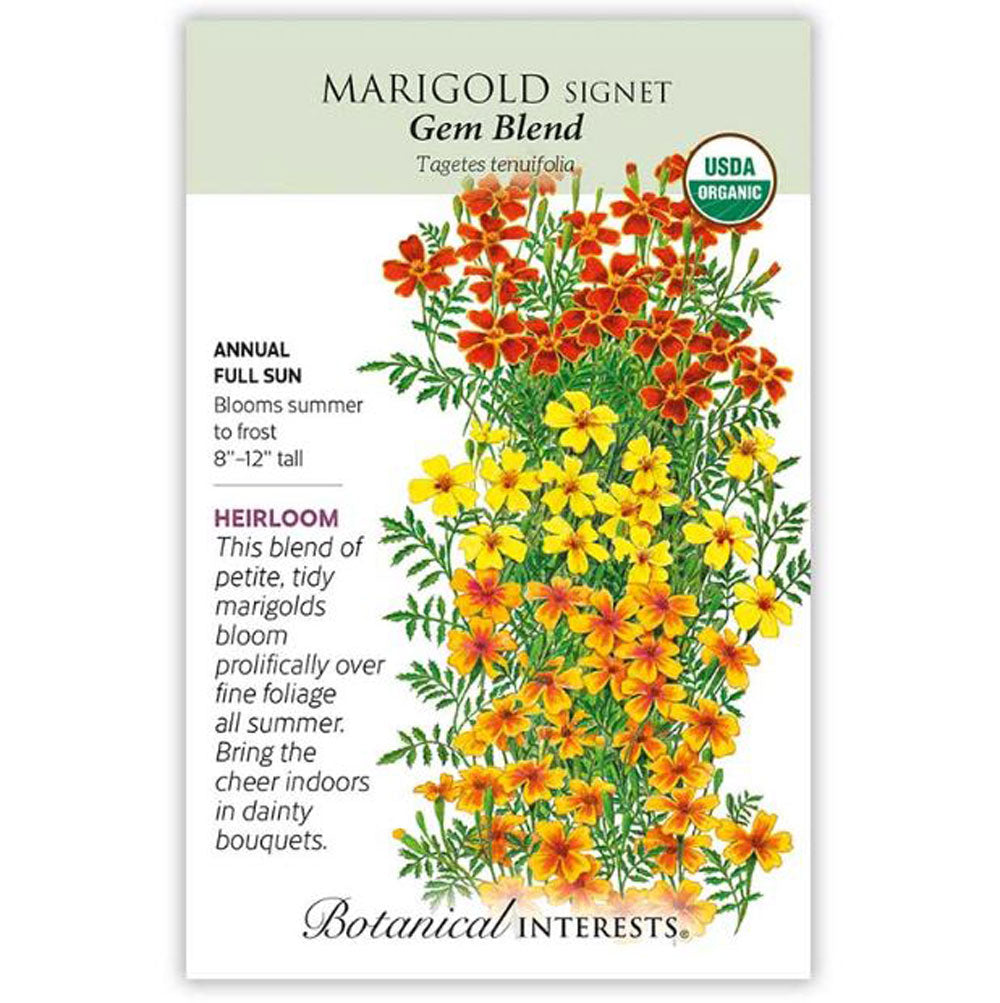 Botanical Interests, Marigold, Signet Gem Blend