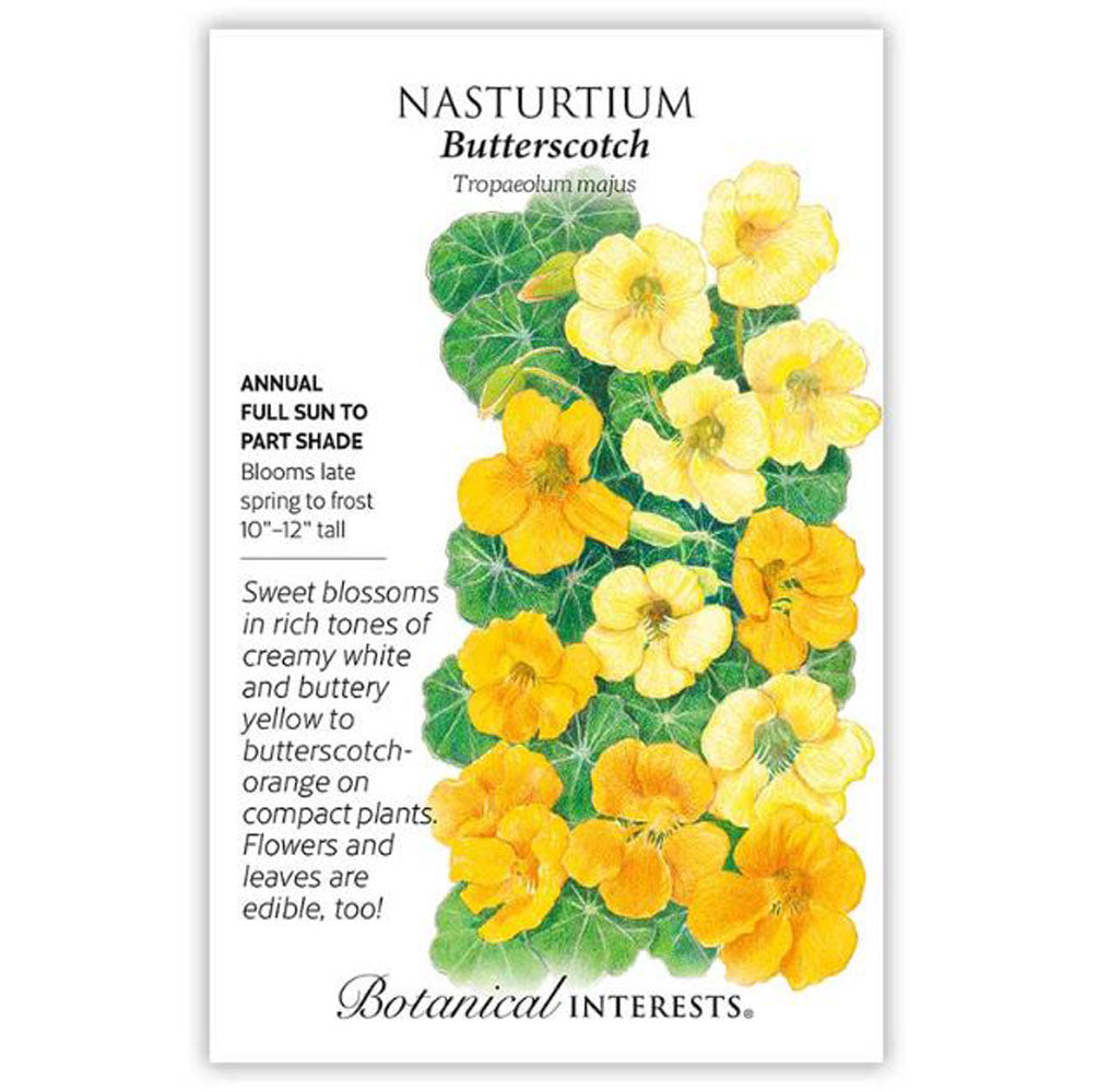 Botanical Interests, Nasturtium, Butterscotch