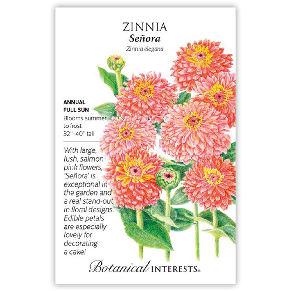 Botanical Interests, Zinnia, Senora