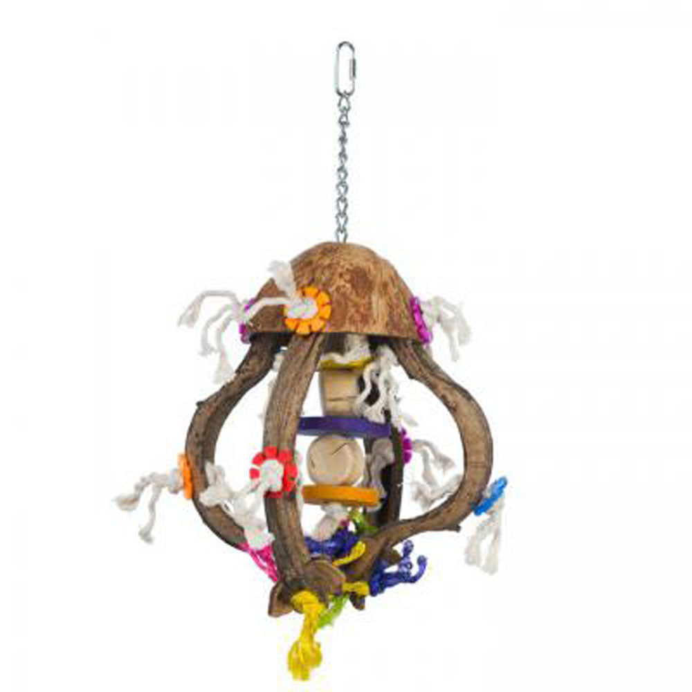 Prevue Pet, Jellyfish