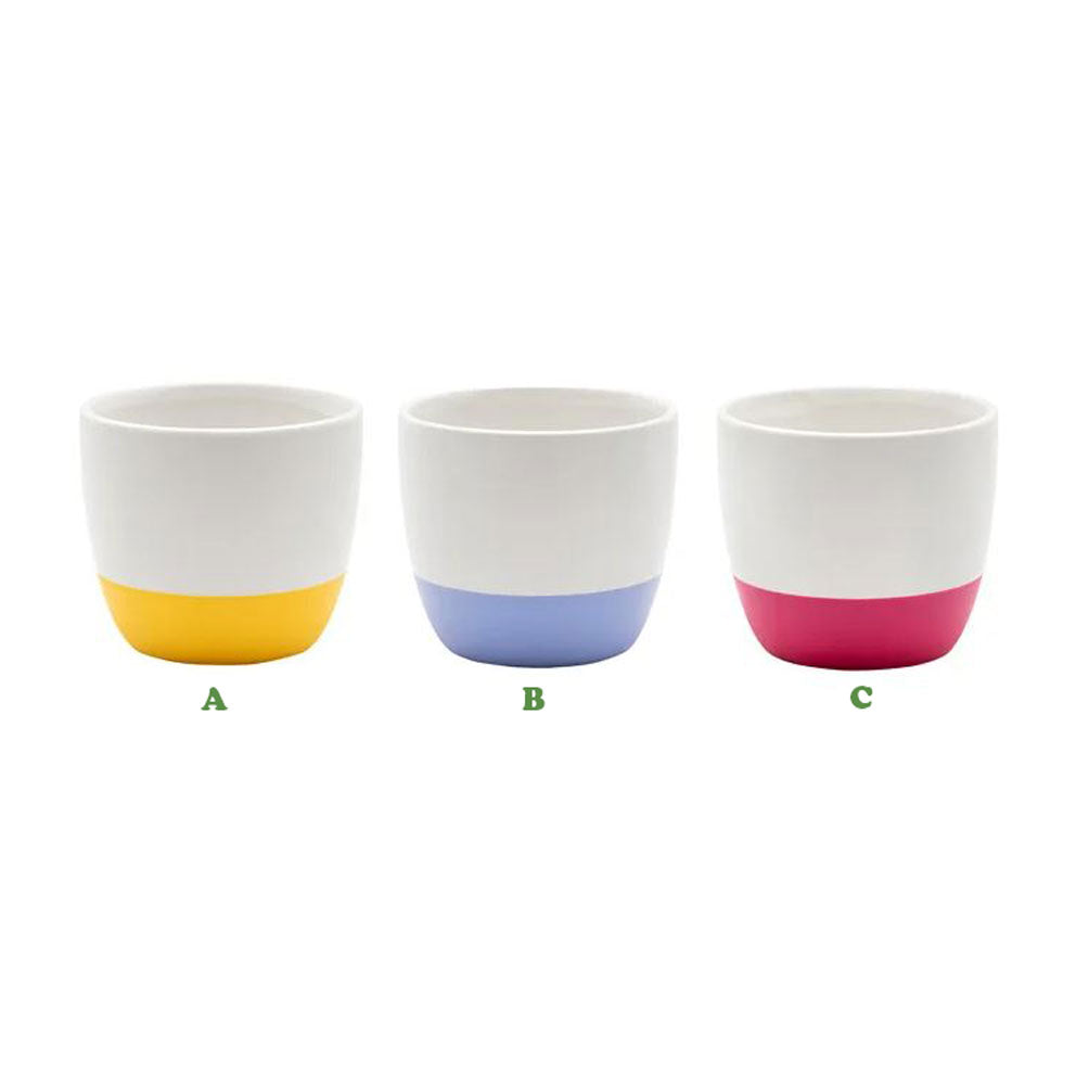 Napco, Large 2 Tone Matte Cache Pot, Assorted & Sold Separately