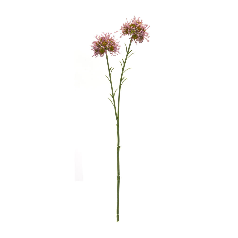 Melrose International, Allium Spray, 18.5"