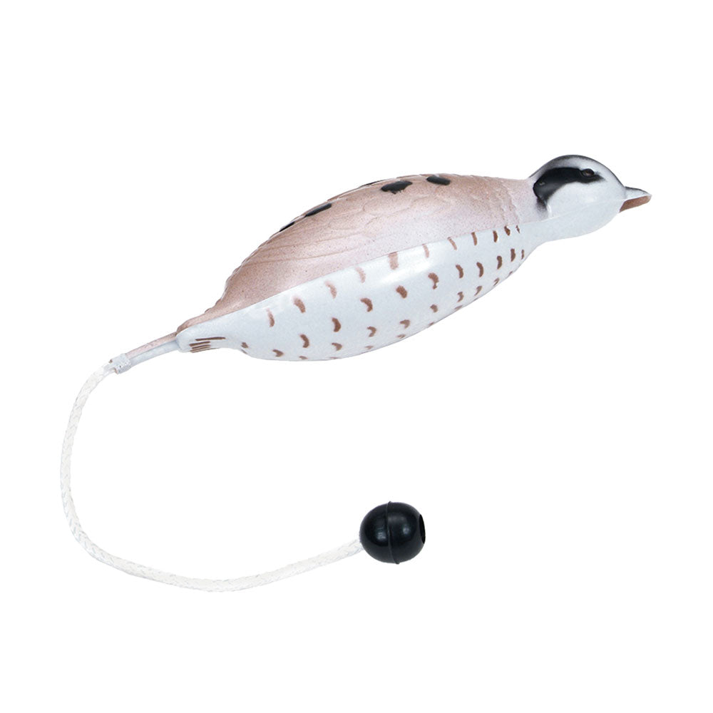Coastal Pet, Qual Trainer, Small
