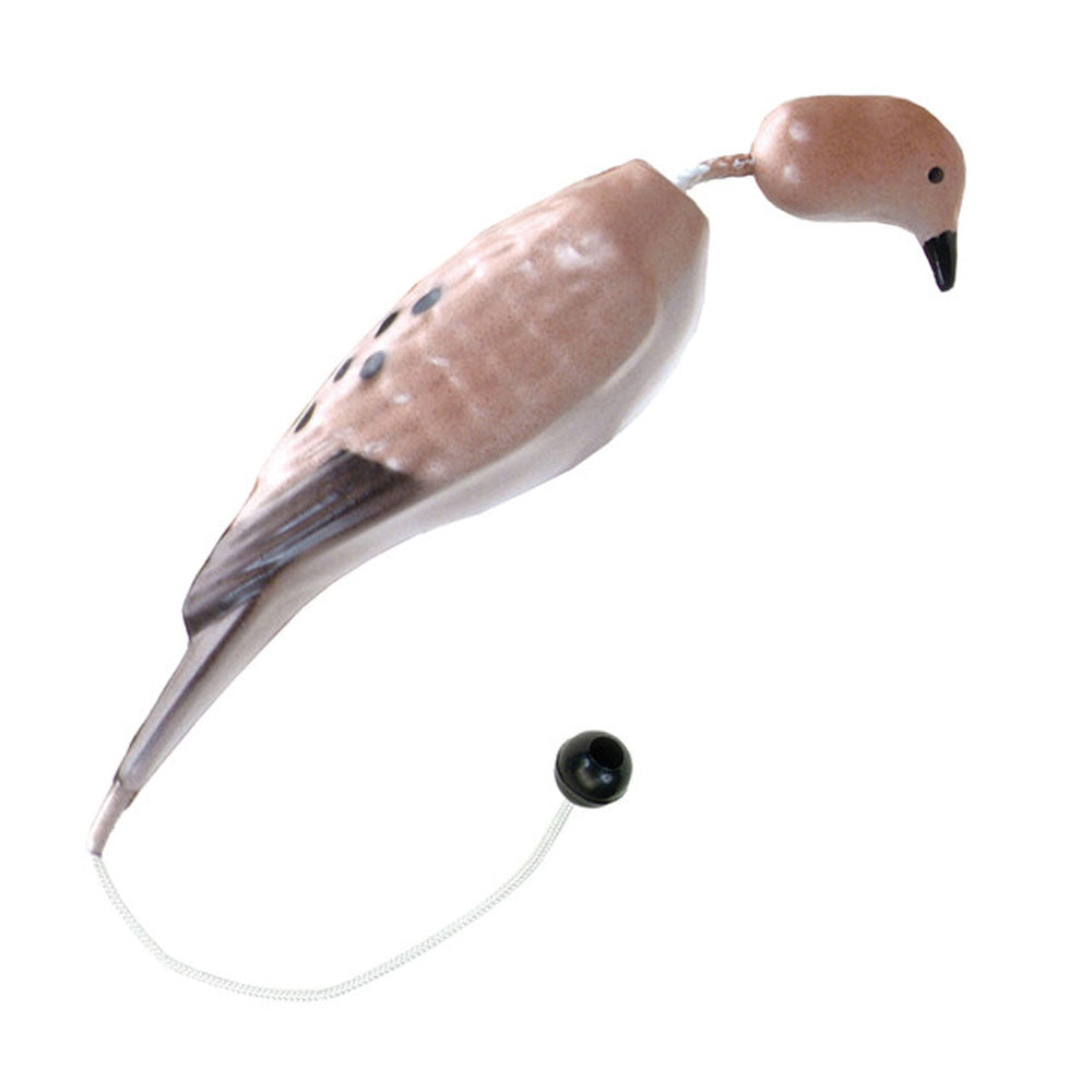 Coastal Pet, Dover Trainer Small