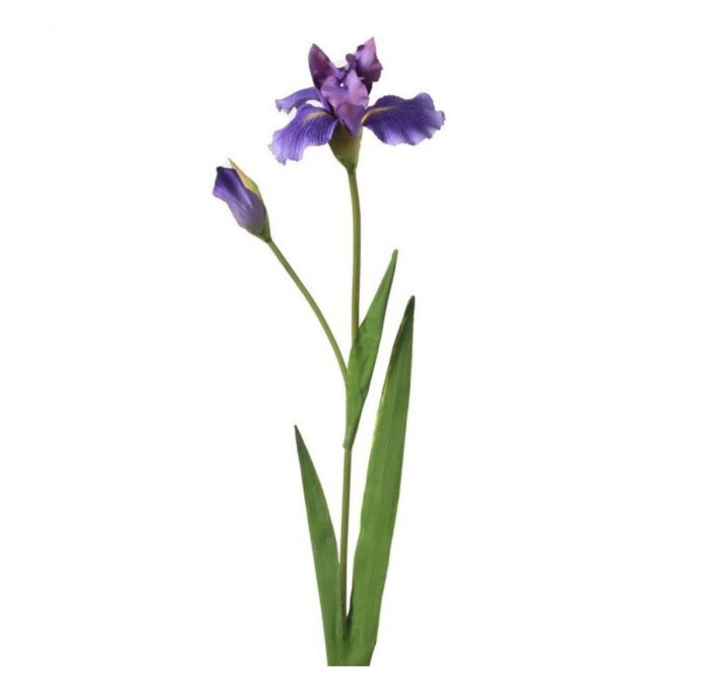 Regency, Dutch Violet Iris & Bud Stem, 28"