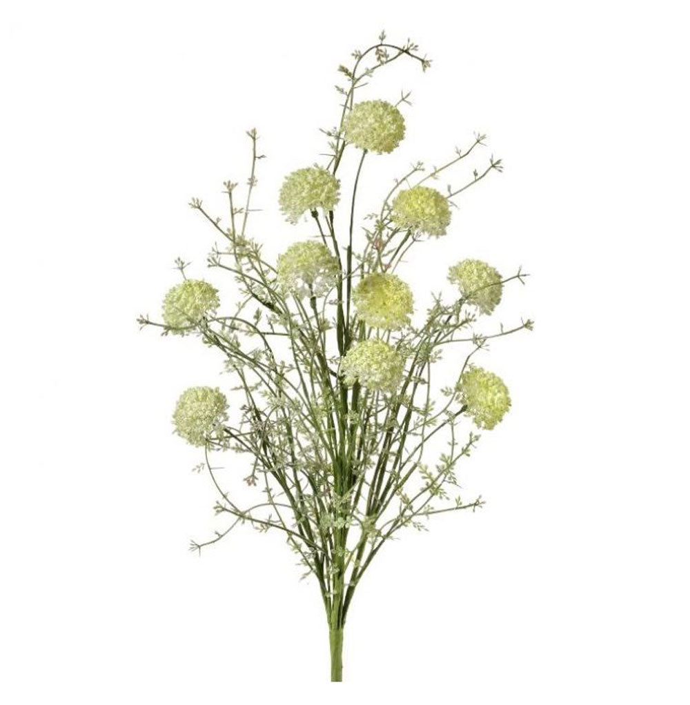 Regency, Wild Allium Bush, x10, Cream, 24"