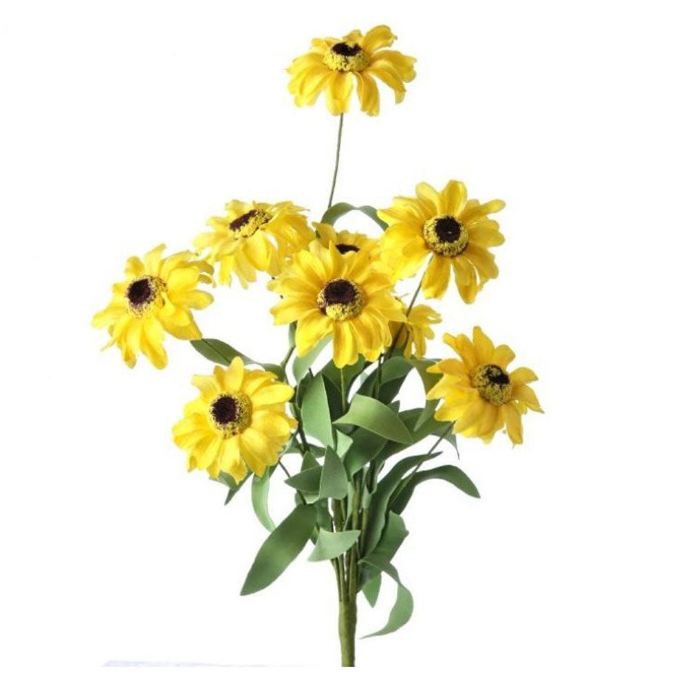 Regency, Black Eye Susan Bush, x9, 18"
