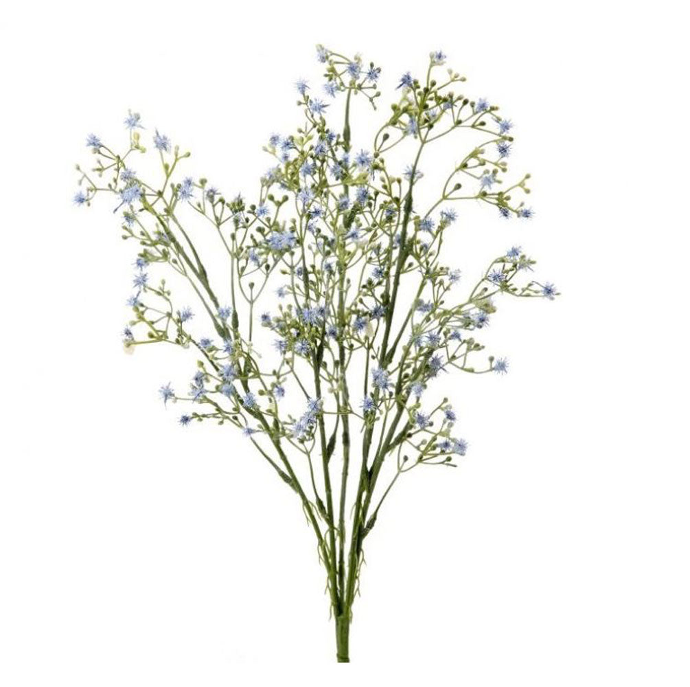 Regency, Popinac Bush, x5, Blue, 18"