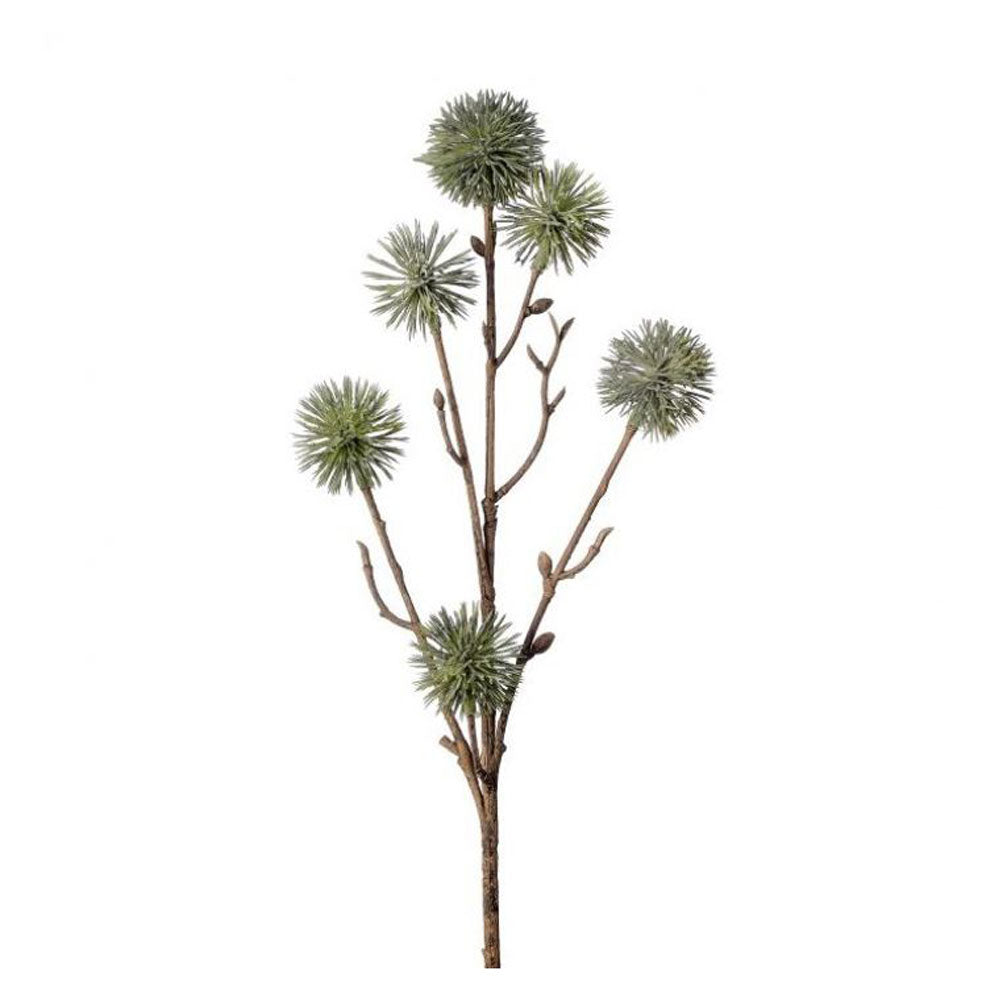 Regency, Ball Thistle, x6, 18", Dark Green