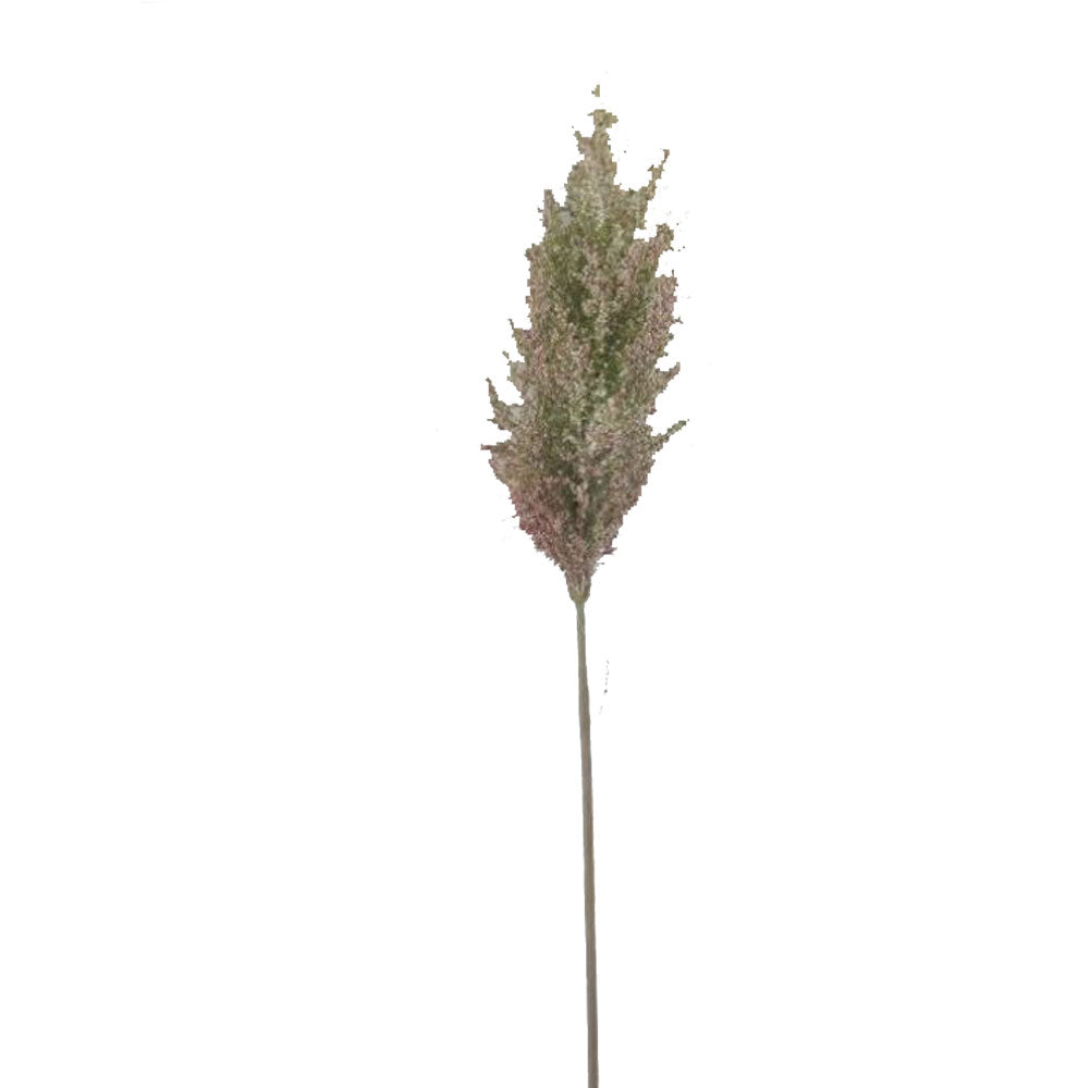 Regency, Sorghum Spray, 35.5", Cream Pink